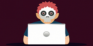 widget image